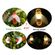 Bee-Solar-String-Li30ght