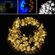 img02-blossom-solar-light-string