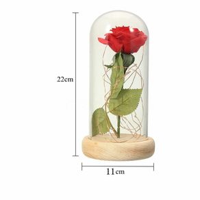 rose_lamp_size__88477.1543599765