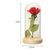 rose_lamp_size__88477.1543599765