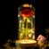 ROSE_LAMP_4__44489.1543599769