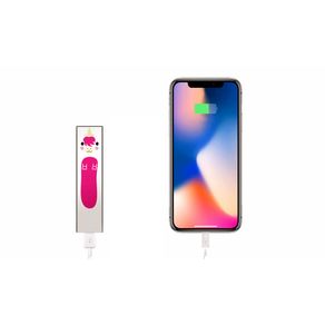 Lama_and_Unicorn_powerbank__54000.1580806921
